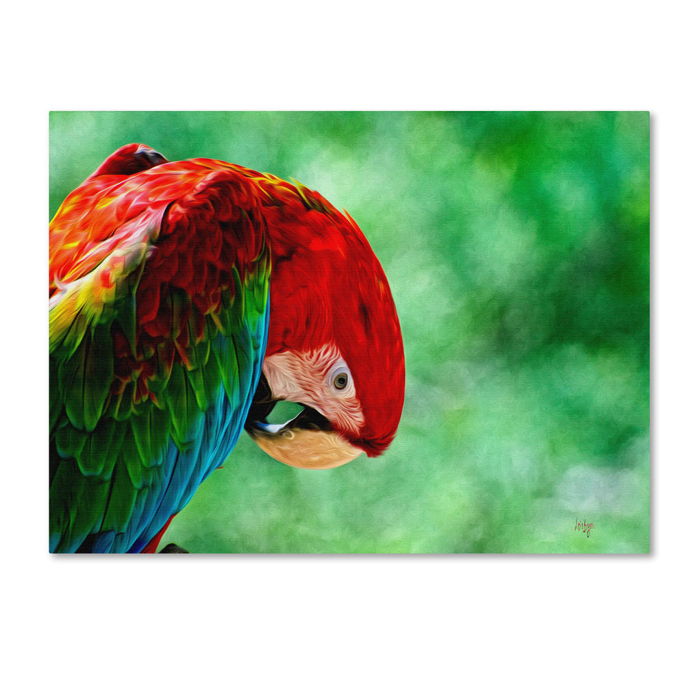 Trademark Global Lois Bryan 'Colorful Macaw' Canvas Art