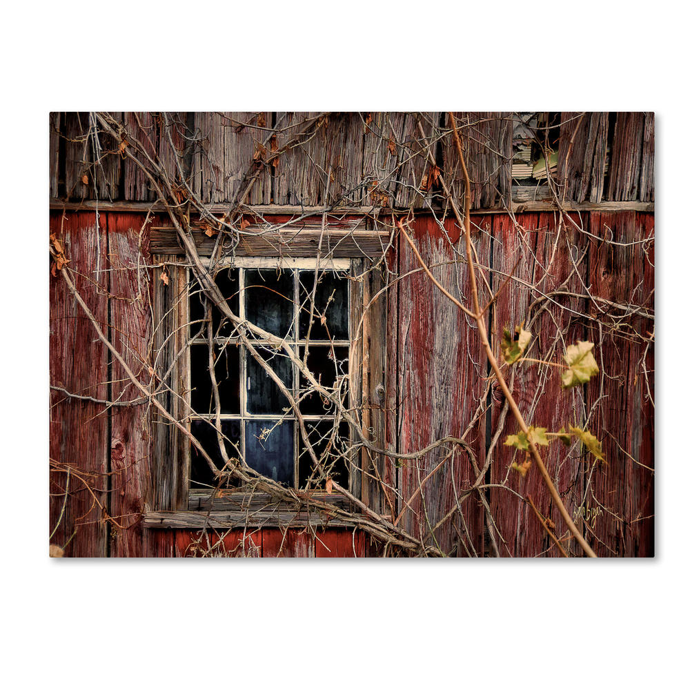 Trademark Global Lois Bryan 'Old Barn Window' Canvas Art