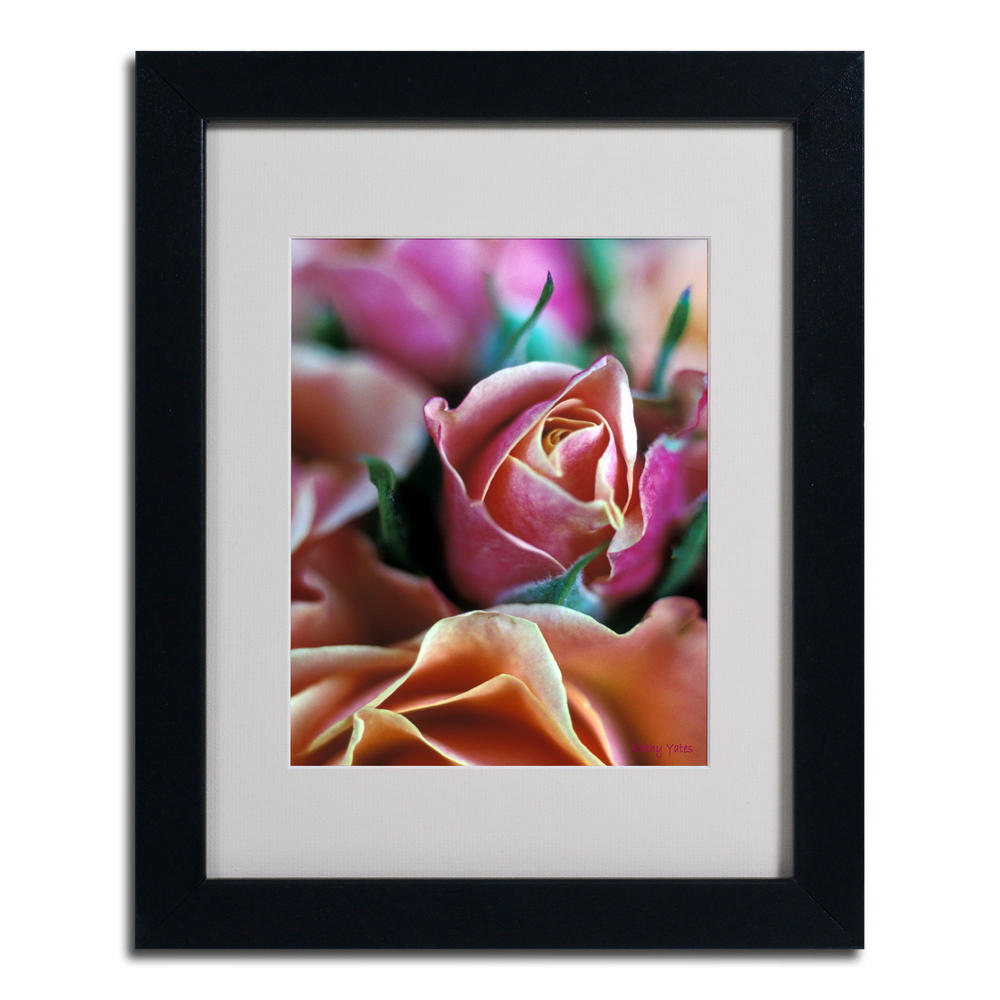 Trademark Global Kathy Yates 'Mauve and Peach Roses' Matted Framed Art