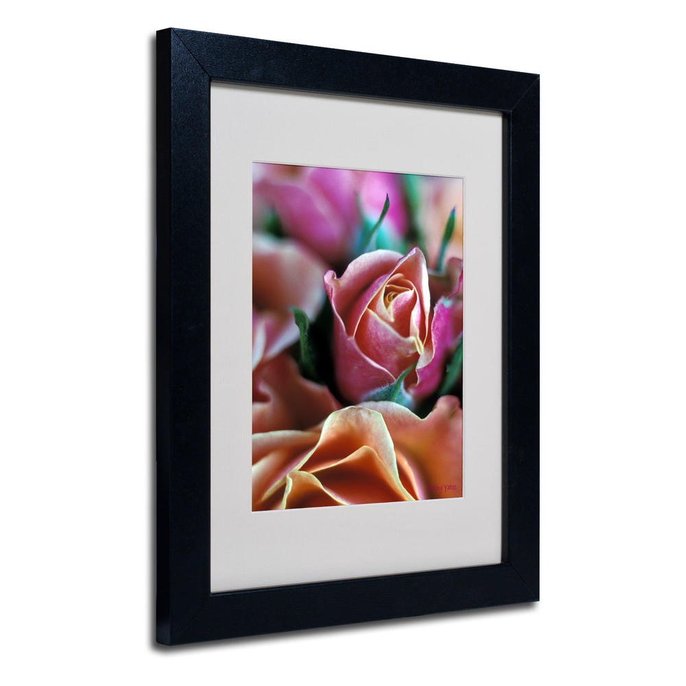Trademark Global Kathy Yates 'Mauve and Peach Roses' Matted Framed Art
