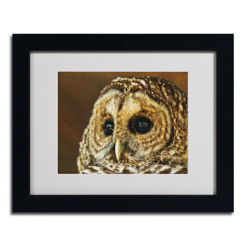Trademark Global Lois Bryan 'Barred Owl Portrait' Matted Framed Art