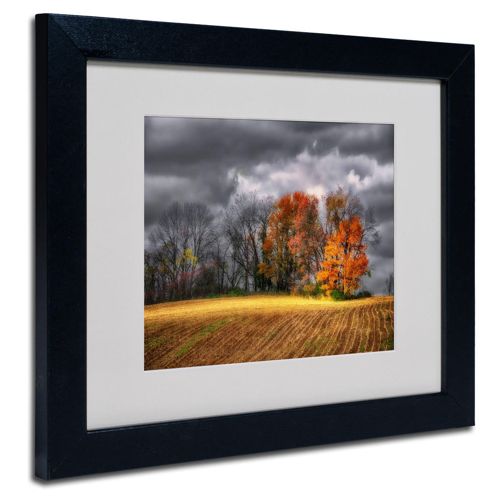 Trademark Global Lois Bryan 'Autumn Field' Matted Framed Art