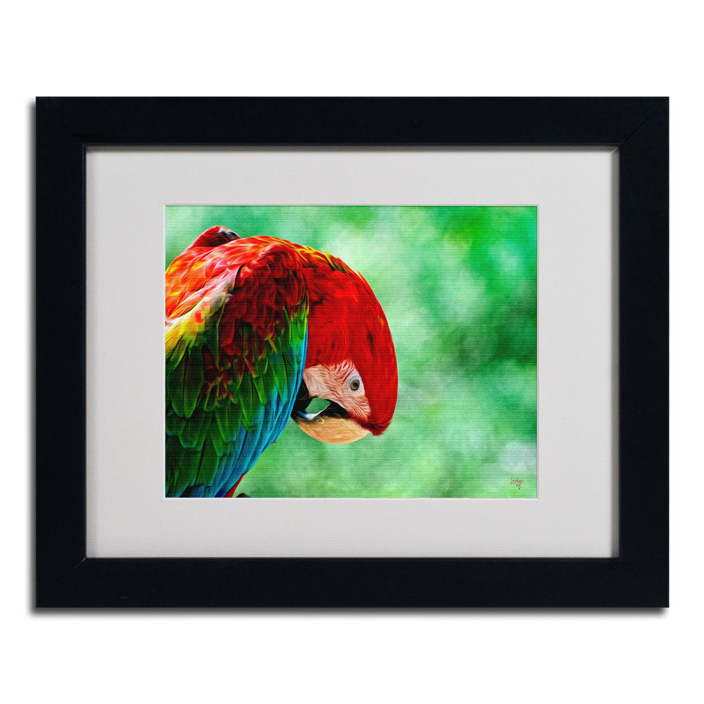 Trademark Global Lois Bryan 'Colorful Macaw' Matted Framed Art