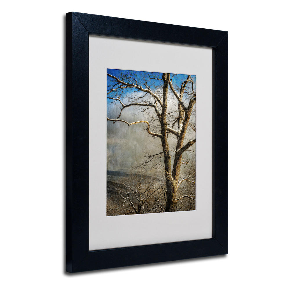 Trademark Global Lois Bryan 'Tree In Winter' Matted Framed Art