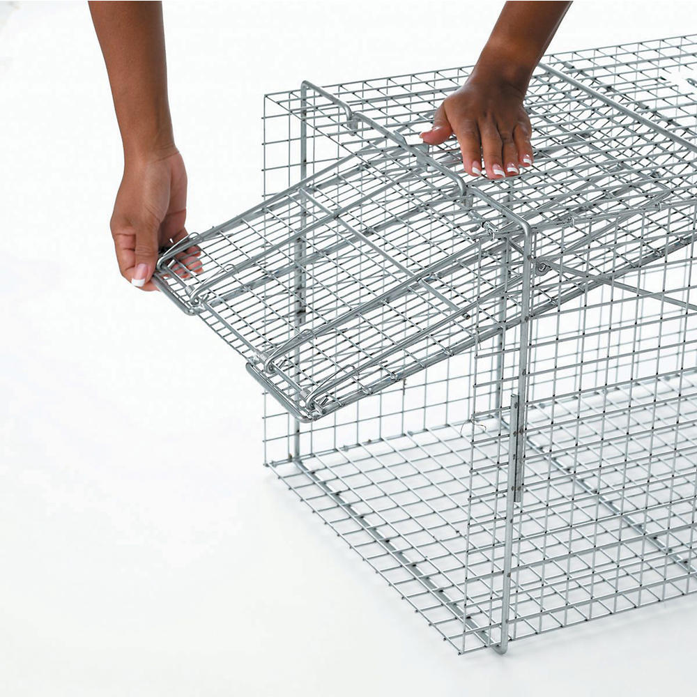 Havahart Large One Door Raccoon Trap