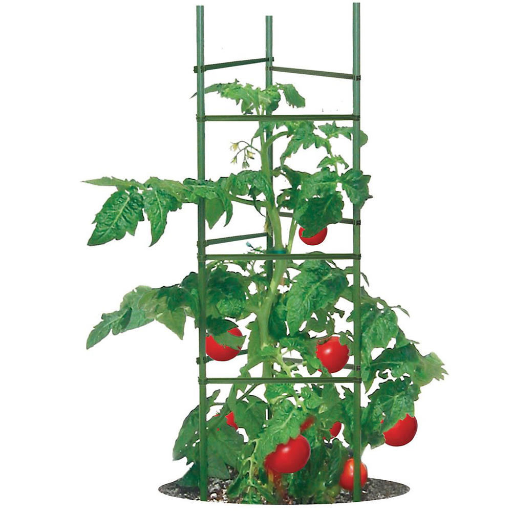 TMC60W Gardener’s Blue Ribbon® Ultomato Tomato Plant Cage