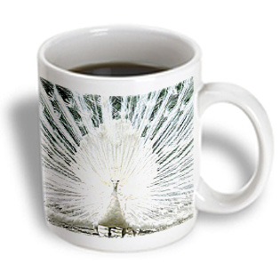 3dRose - Birds - White Peacock - 11 oz mug 3dRose - Birds - White Peacock - 11 oz mug