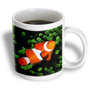 3dRose - Tropical Fish - Clown Anemone Fish - 11 oz mug, White 3dRose - Tropical Fish - Clown Anemone Fish - 11 oz mug, White