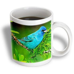 3dRose - Birds - Indigo Bunting - 11 oz mug, White 3dRose - Birds - Indigo Bunting - 11 oz mug, White