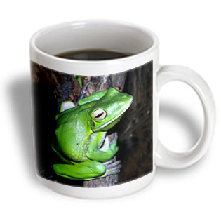 3dRose - Frogs - Tree Frog - 15 oz mug, White 3dRose - Frogs - Tree Frog - 15 oz mug, White