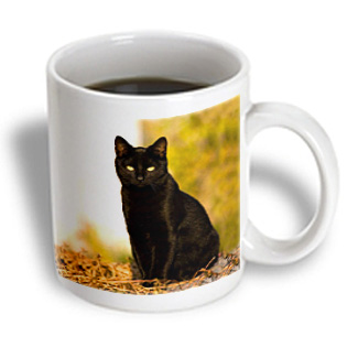 3dRose - Cats - Black Cat - 15 oz mug, White 3dRose - Cats - Black Cat - 15 oz mug, White