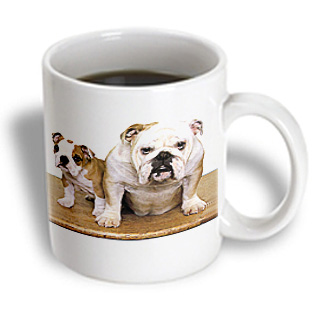 3dRose - Dogs Bulldog - British Bulldog Male - 15 oz mug, White 3dRose - Dogs Bulldog - British Bulldog Male - 15 oz mug, White