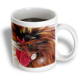 3dRose - Cassie Peters Chickens - Polish Rooster - 11 oz mug, White 3dRose - Cassie Peters Chickens - Polish Rooster - 11 oz mug, White