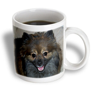 3dRose - Rebecca Anne Grant Photography Dogs - Wolf Sable Pomeranian - 15 oz mug, White 3dRose - Rebecca Anne Grant Photography Dogs - Wolf Sable Pomeranian - 15 oz mug, White