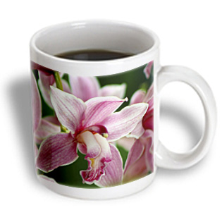 3dRose - SmudgeArt Flower Art Designs - ORCHID - B - 11 oz mug, White 3dRose - SmudgeArt Flower Art Designs - ORCHID - B - 11 oz mug, White