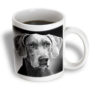 3dRose - VWPics Dogs n Cats - Braque de Weimar - 11 oz mug, White 3dRose - VWPics Dogs n Cats - Braque de Weimar - 11 oz mug, White