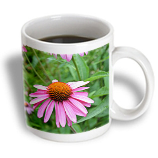 3dRose - Patricia Sanders Flowers - Echinacea Floral II - 15 oz mug, White 3dRose - Patricia Sanders Flowers - Echinacea Floral II - 15 oz mug, White