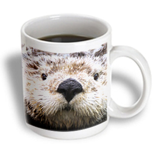 3dRose - VWPics Animals - Sea Otter - ultra closeup of face.(Enhydra lutris) - 11 oz mug, White 3dRose - VWPics Animals - Sea Otter - ultra closeup of face.(Enhydra lutris) - 11 oz mug, White