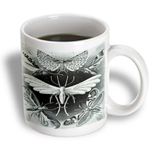 3dRose - Florene Vintage - Picture Of Vintage German Biologist Drawing of Moths - 15 oz mug, White 3dRose - Florene Vintage - Picture Of Vintage German Biologist Drawing of Moths - 15 oz mug, White