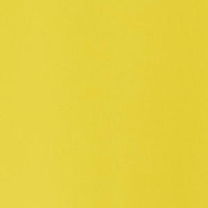 Selected Color is Horizon Yellow