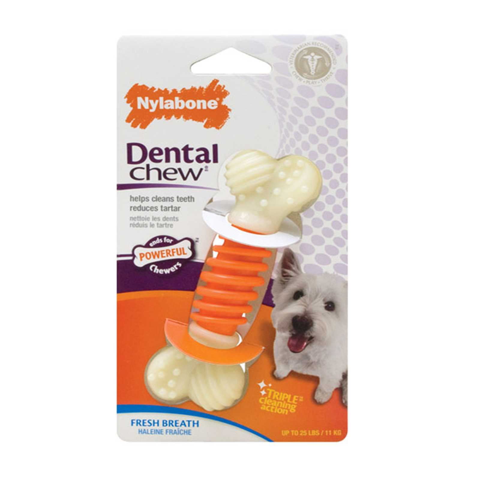 Tfh Publications Inc. Nylabone Dental Proaction Small