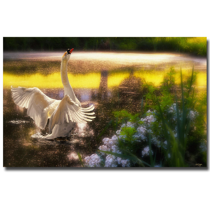 Trademark Global Lois Bryan 'Swan Lake' Canvas Art