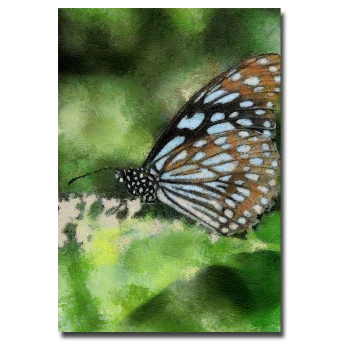 Trademark Global Lois Bryan 'Butterfly in Blue' Canvas Art