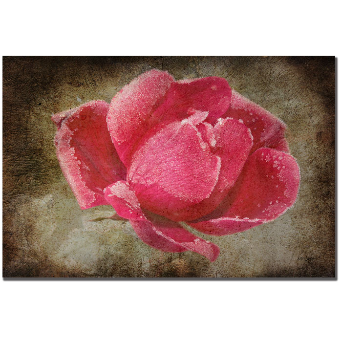 Trademark Global Lois Bryan 'Frosted Rose' Canvas Art