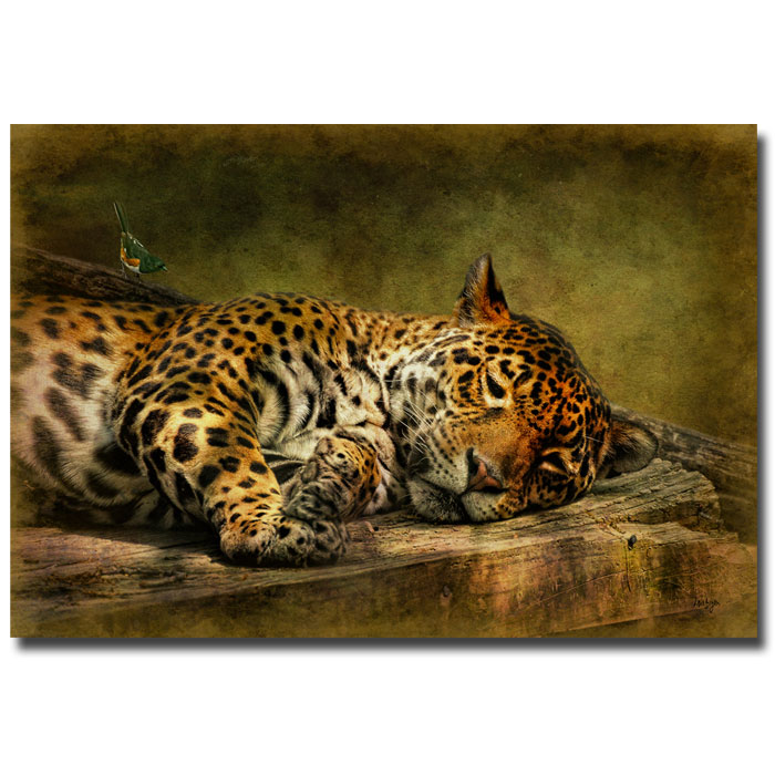 Trademark Global Lois Bryan 'Wake Up Sleepyhead' Canvas Art