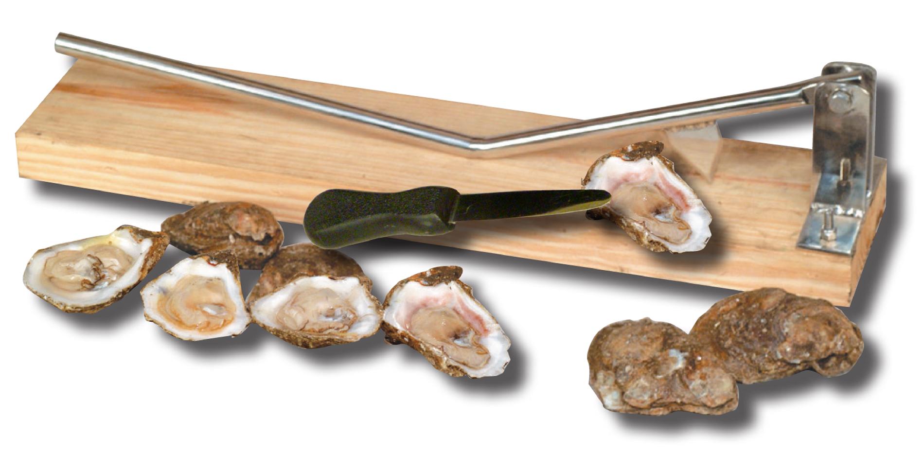 King Kooker® Stainless Steel Oyster Opener on Wooden Base with Oyster Knife