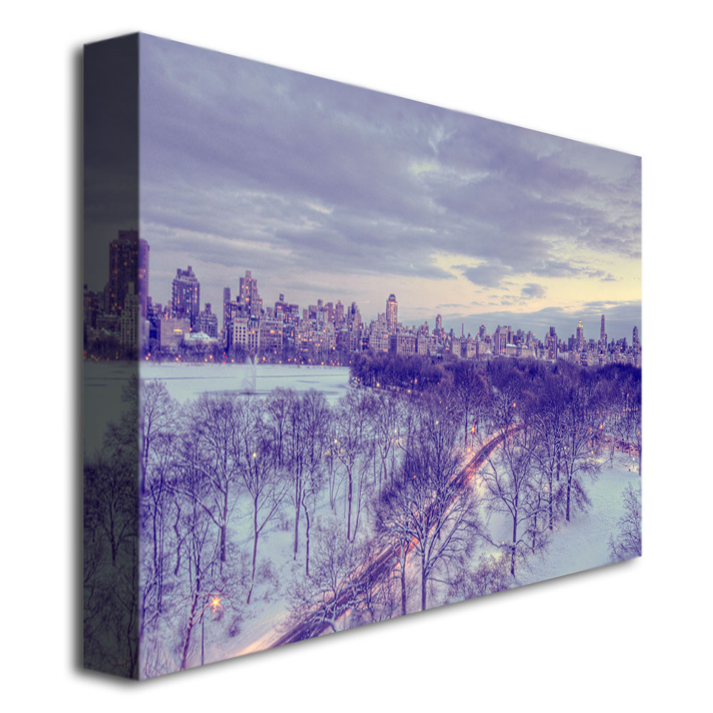 Trademark Global Ariane Moshayedi 'Snowy Wonderland' Canvas Art