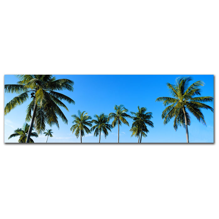 Trademark Global Preston 'Palms' Canvas Art