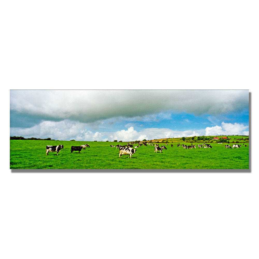 Trademark Global Preston 'Irish Countryside' Canvas Art
