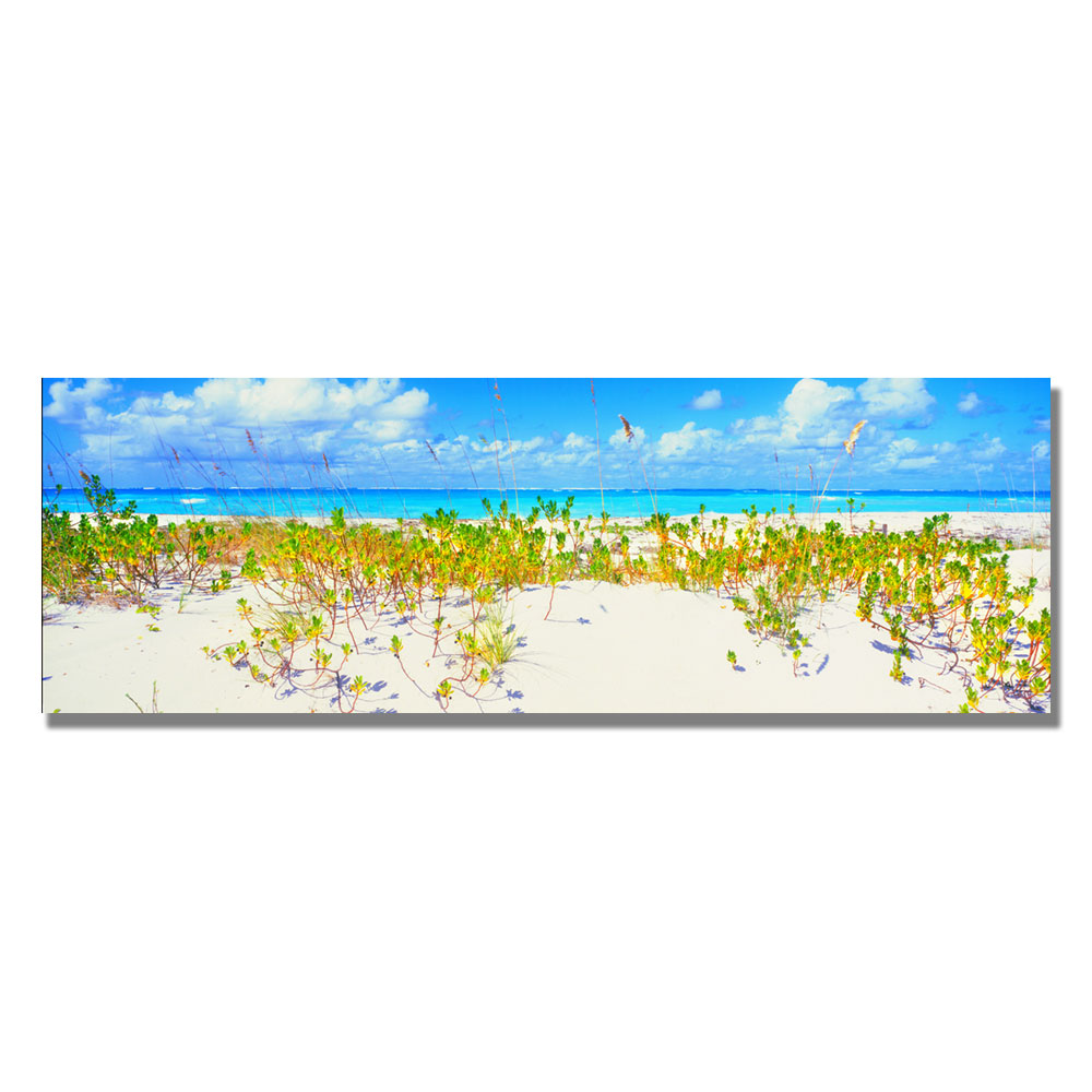 Trademark Global Preston 'Turks Beach' Canvas Art