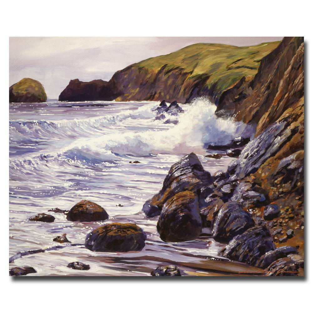 Trademark Global David Lloyd Glover 'Summer Sea' Canvas Art