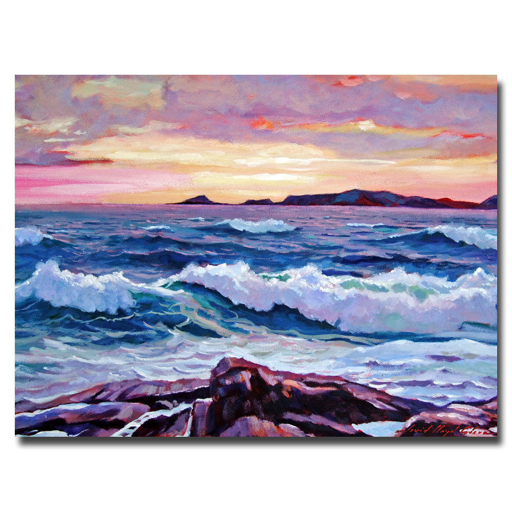 Trademark Global David Lloyd Glover 'California Sunset' Canvas Art