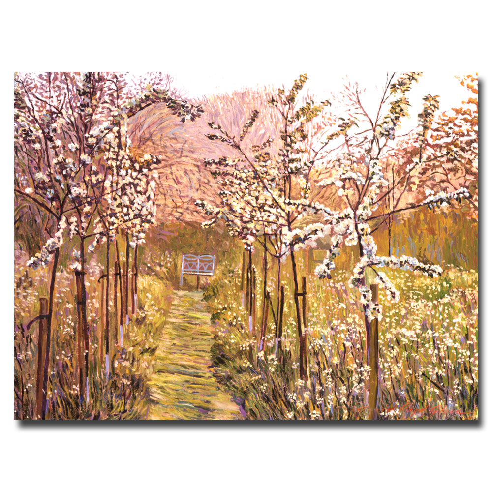 Trademark Global David Lloyd Glover 'Orchard Morning' Canvas Art