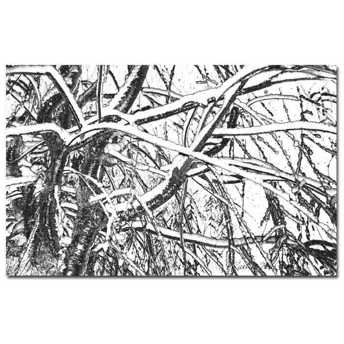 Trademark Global Kathie McCurdy 'Winter Tree' Canvas Art