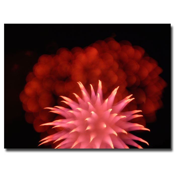 Trademark Global Kurt Shaffer 'Abstract Fireworks' Canvas Art