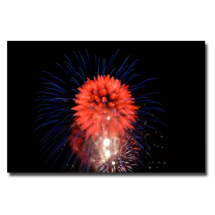 Trademark Global Kurt Shaffer 'Abstract Fireworks II' Canvas Art