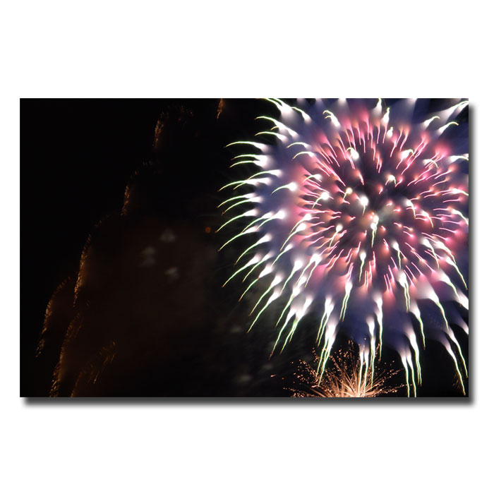Trademark Global Kurt Shaffer 'Abstract Fireworks V' Canvas Art
