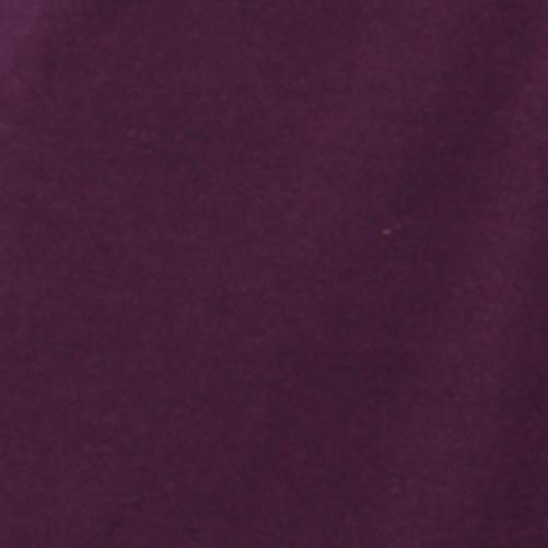 Selected Color is Pennant Purple