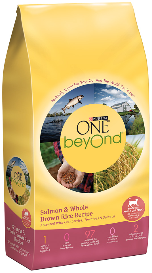 Purina ONE Beyond Salmon & Whole Brown Rice Recipe Cat Food 48 oz. Bag