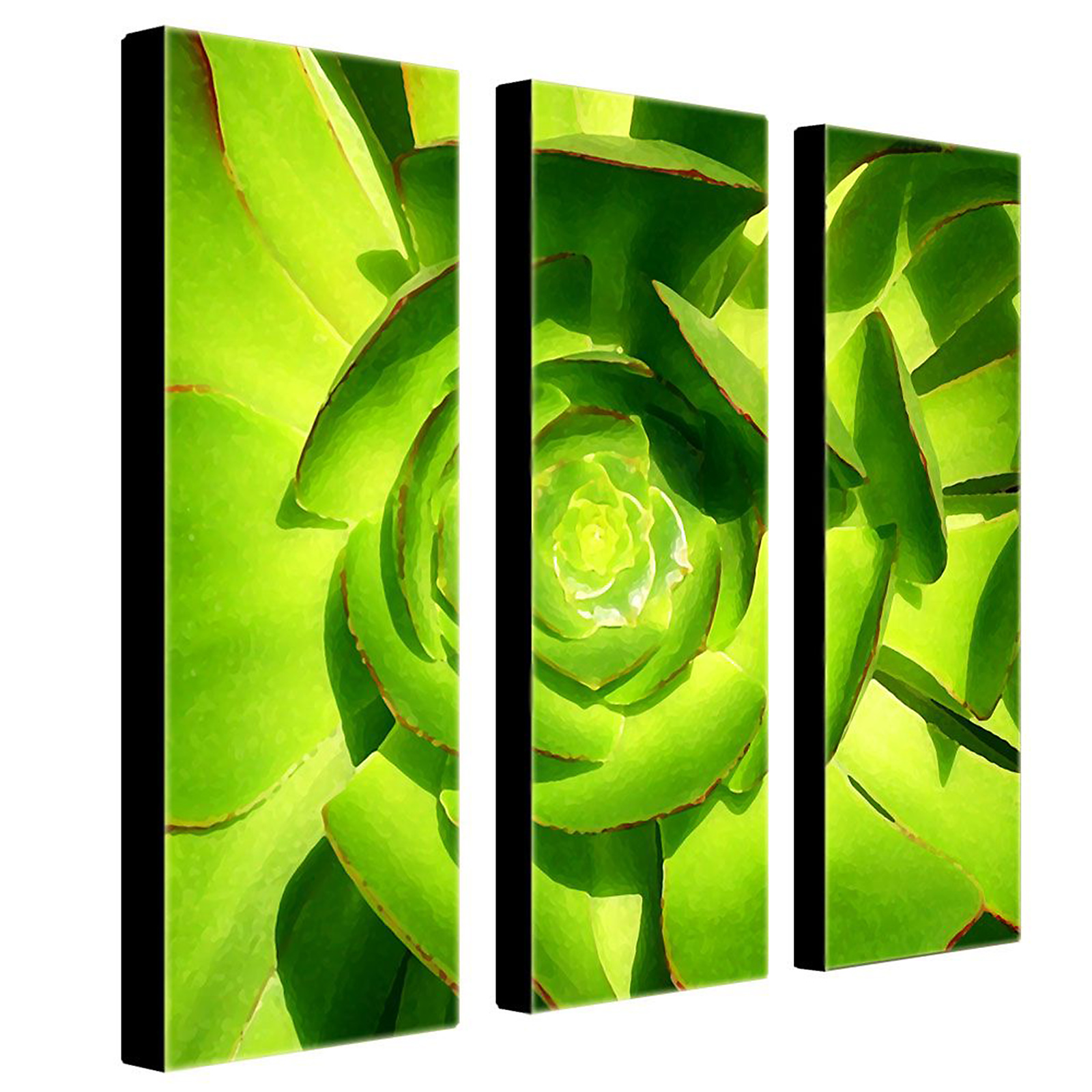 Trademark Global Amy Vangsgard 'Succulent Square' 3-panel Art Set