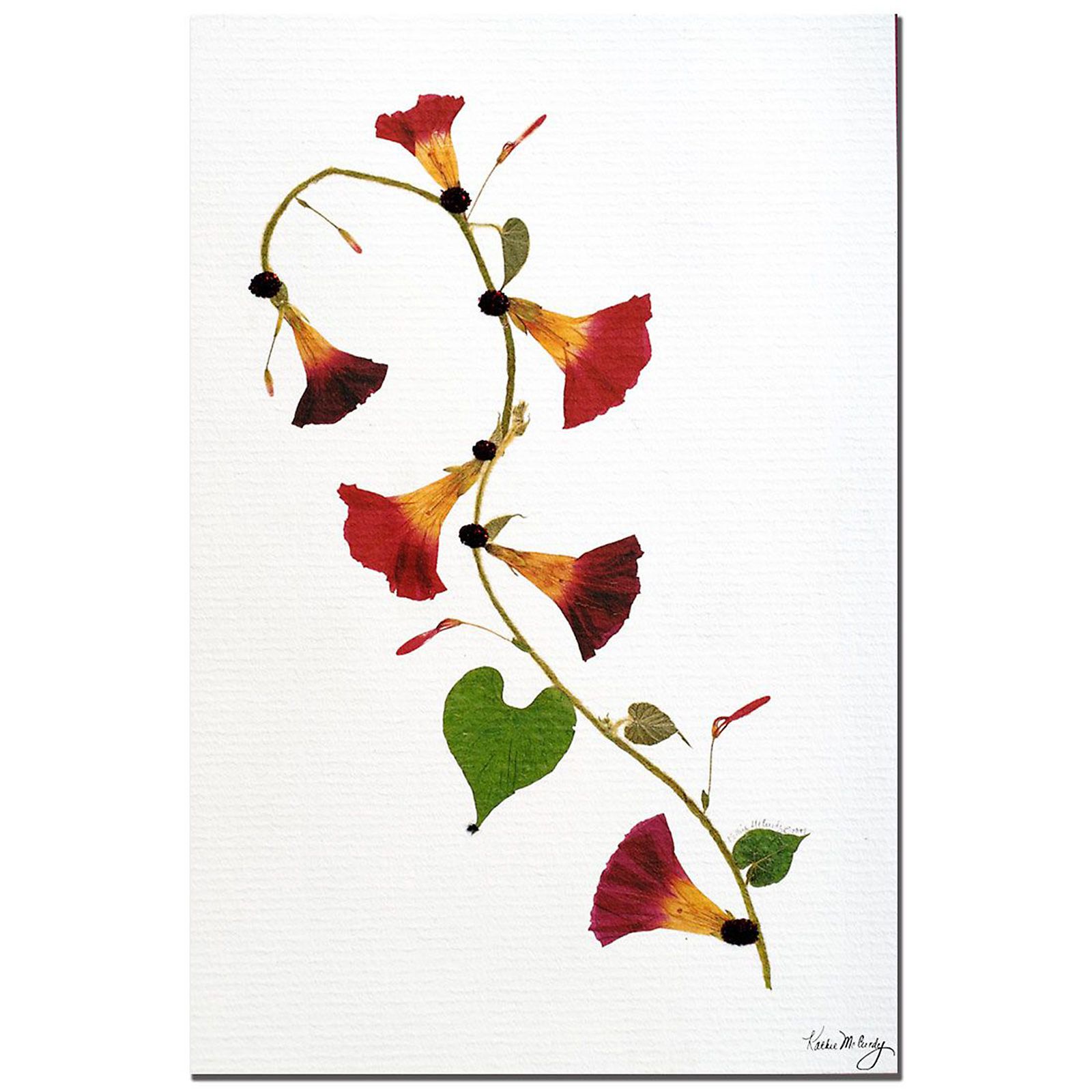 Trademark Global Kathie McCurdy 'Enchanted Garden-Morning Glories' 16" x 24" Canvas Art