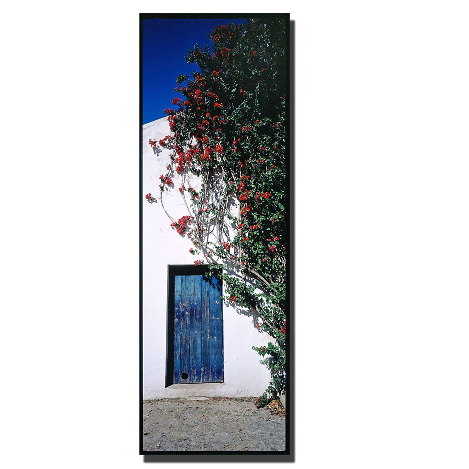 Trademark Global Preston 'Spanish Door' 16" x 47" Canvas Art
