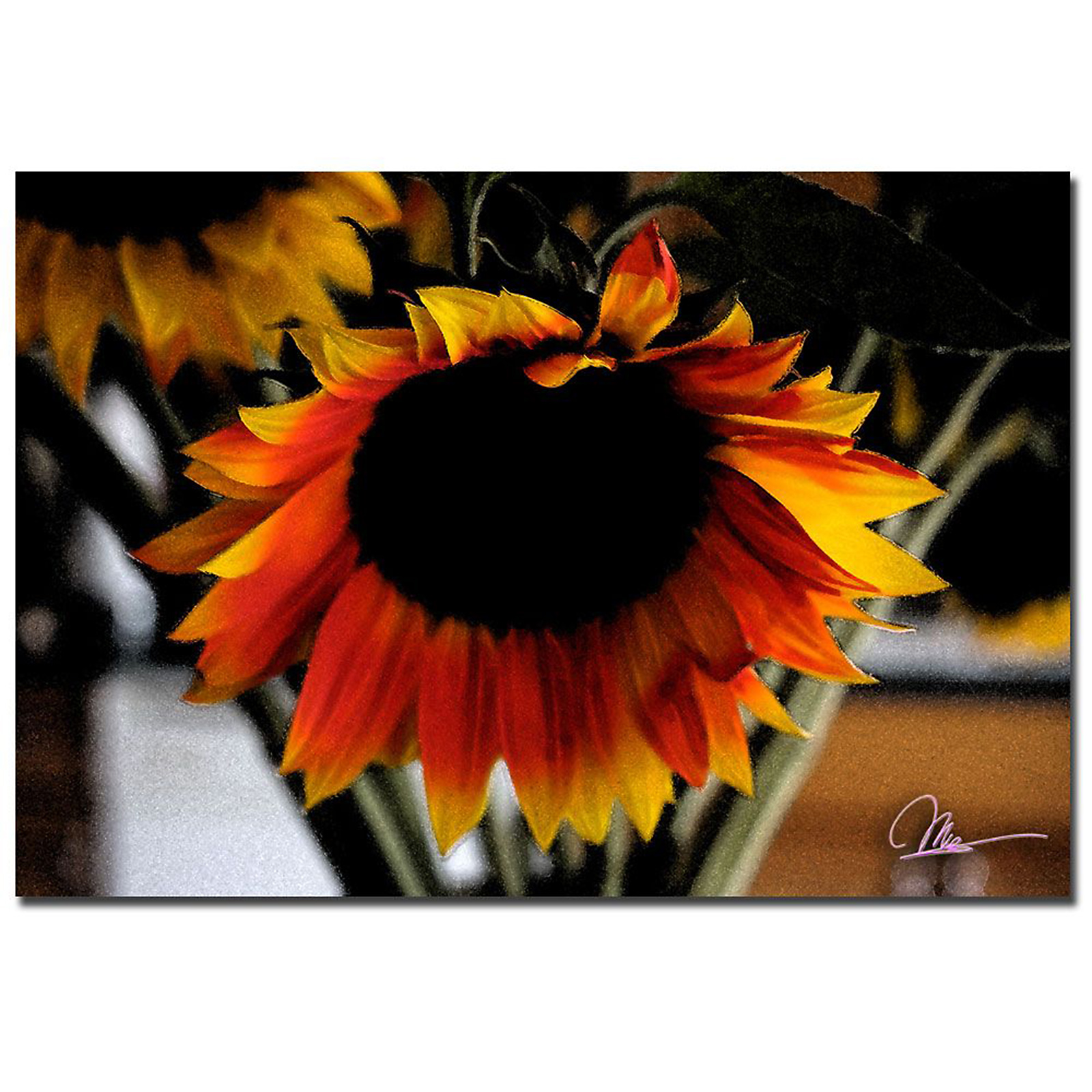 Trademark Global Martha Guerra 'Sunflower Bloom' 22" x 32" Canvas Art