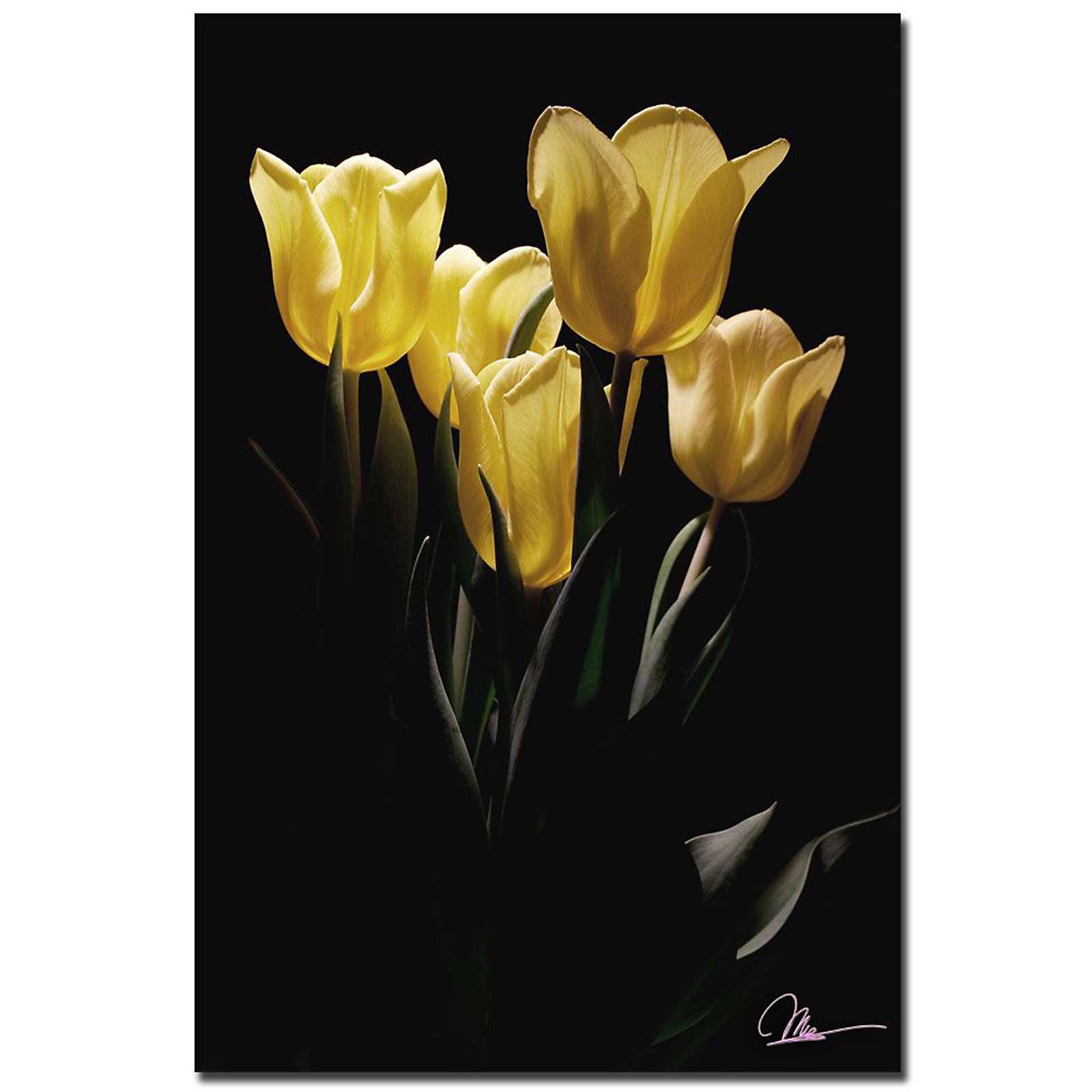 Trademark Global Martha Guerra 'Yellow Blooms IV' 16" x 24" Canvas Art