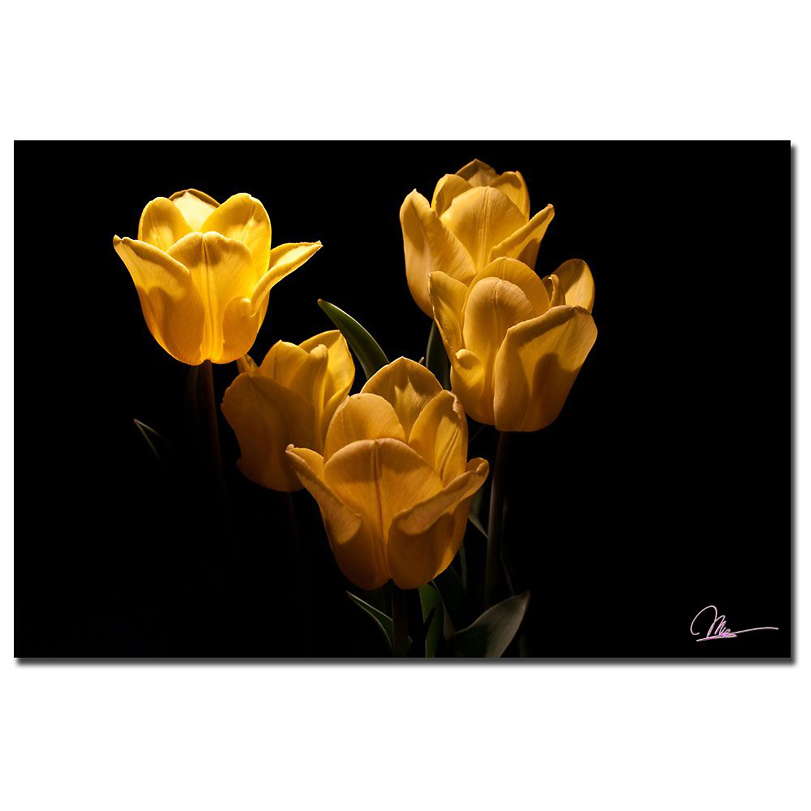 Trademark Global Martha Guerra 'Yellow Blooms V' 16" x 24" Canvas Art
