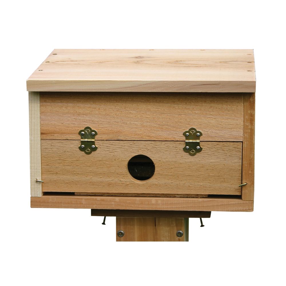Stovall Roosting Box